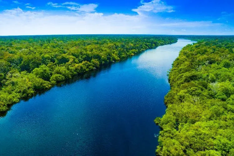 AMAZONÍA