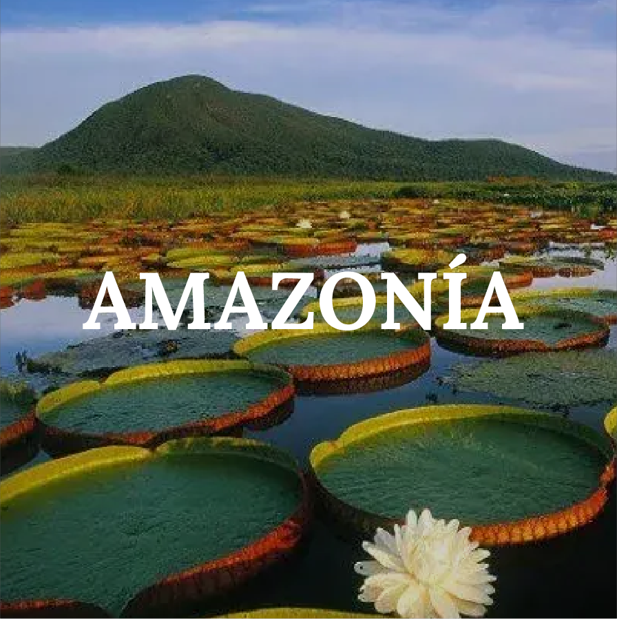 AMAZONÍA