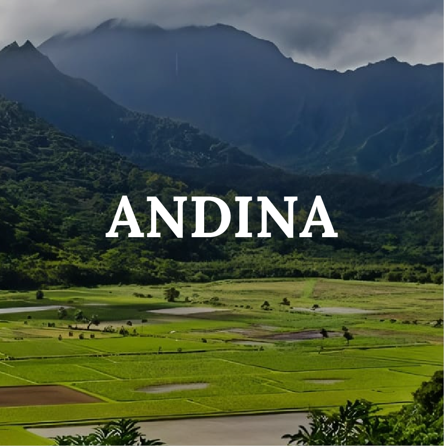 ANDINA