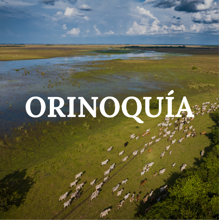 ORINOQUÍA